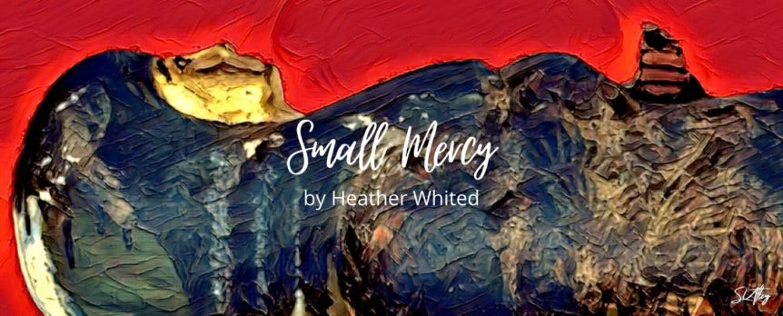 Small Mercy by Heather Whited