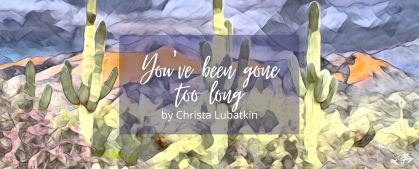 You've been gone too long by Christa Lubatkin