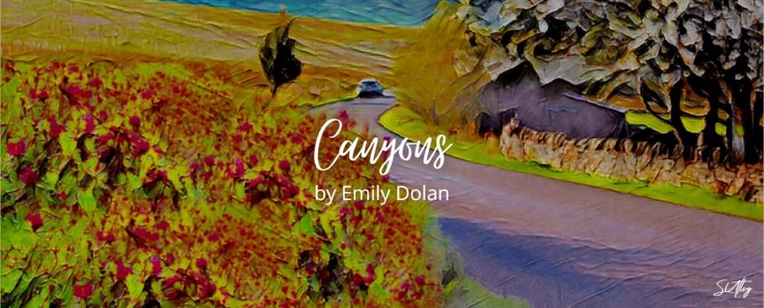 Canyons by Emily Dolan