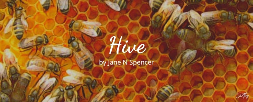 Hive by Jane N Spencer