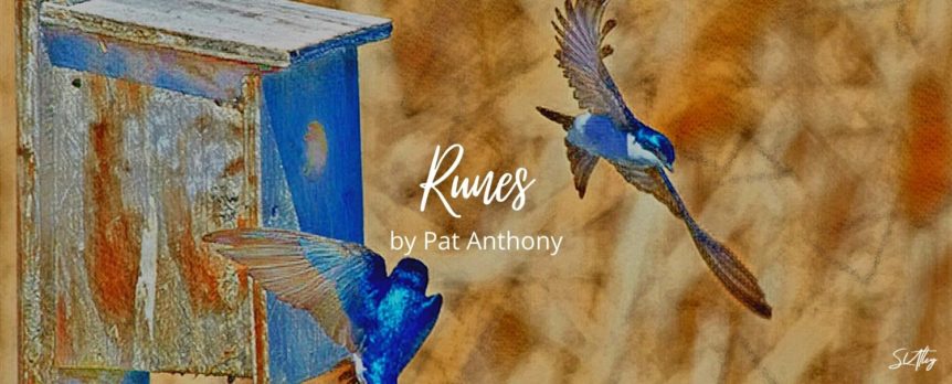 Runes by Pat Anthony