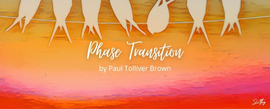 Phase Transition by Paul Tolliver Brown