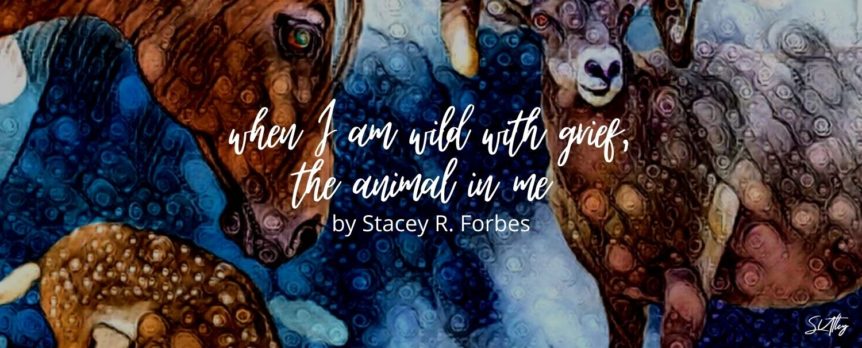 when I am wild with grief, the animal in me by Stacey R. Forbes