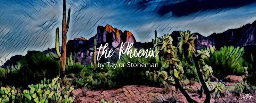the Phoenix by Taylor Stoneman