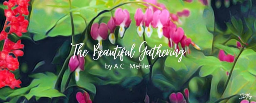 The Beautiful Gathering by A.C. Mehler