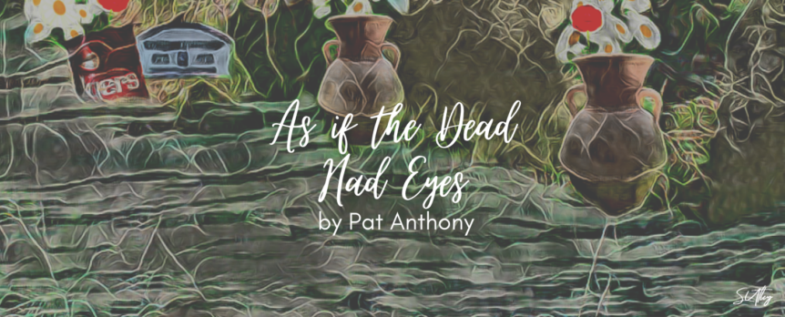 As if the Dead Had Eyes by Pat Anthony